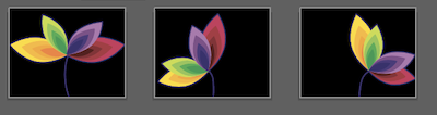 flower trampoline